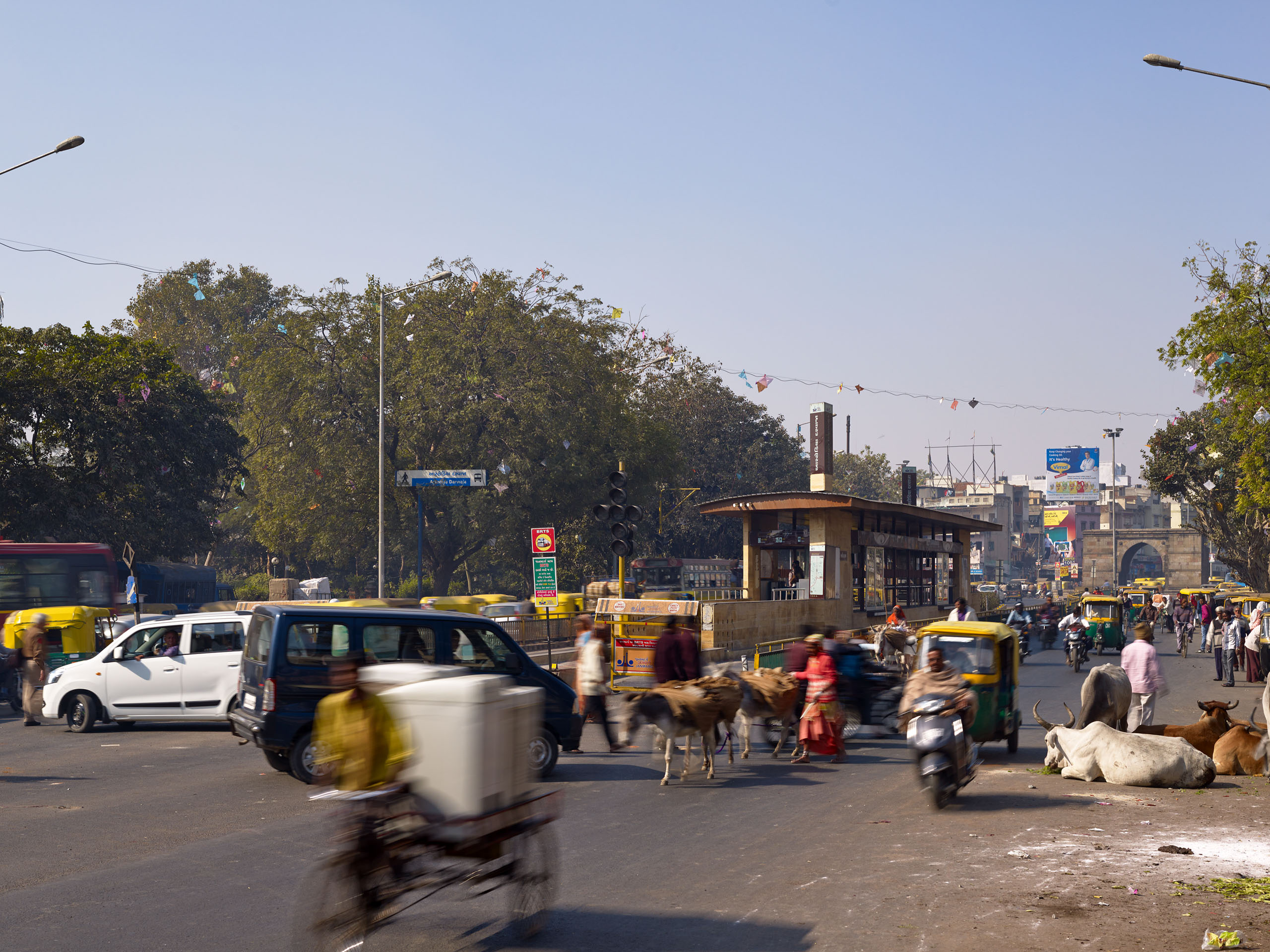 E14492 Alpa 042627 j2560